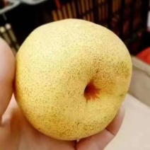 【梨】砀山梨精品礼盒包装一件代发百年品质包售后