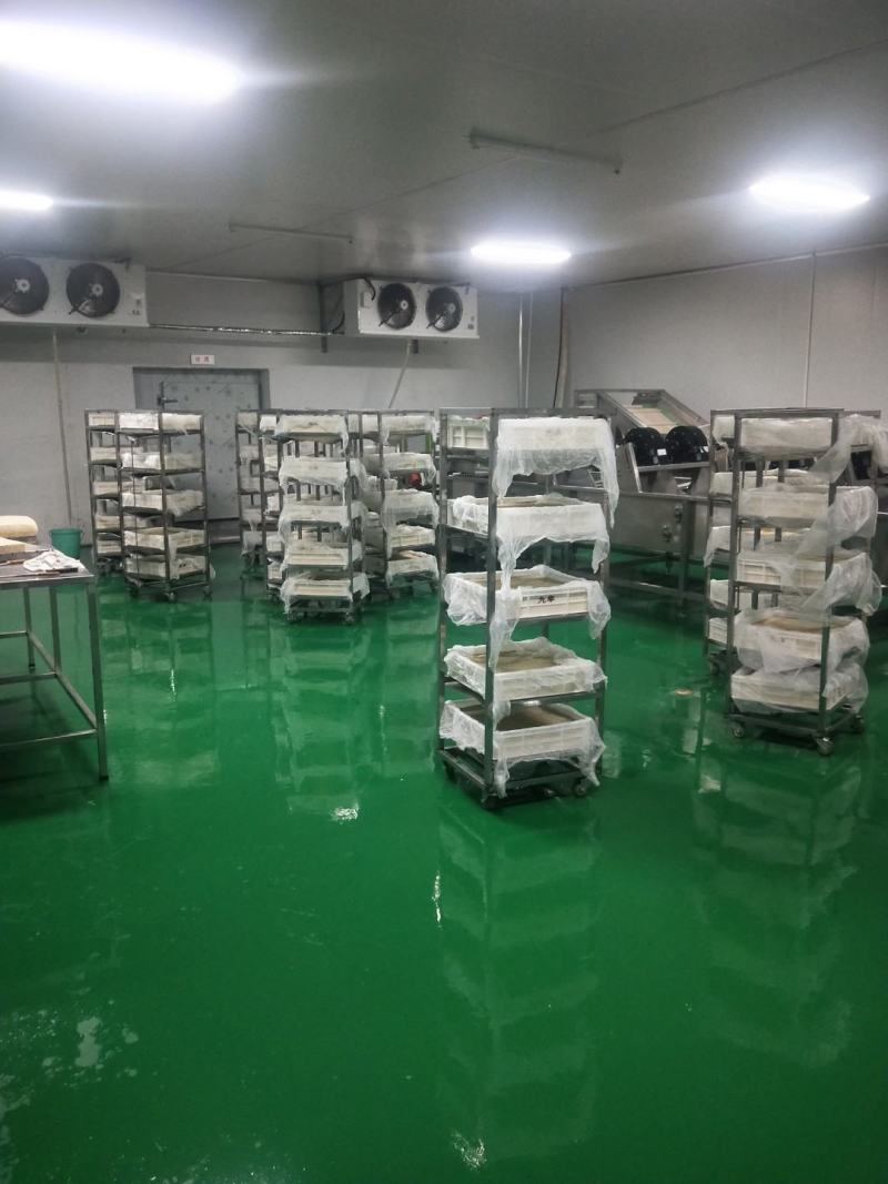 河北石家庄纯卤水大豆腐，现做现发保障新鲜