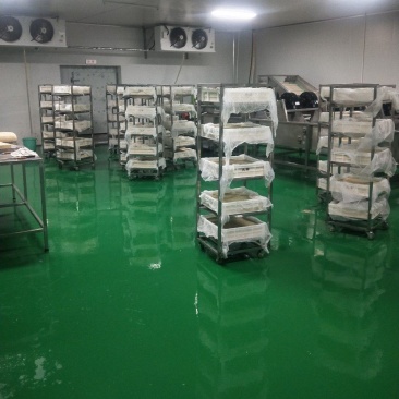 河北石家庄纯卤水大豆腐，现做现发保障新鲜