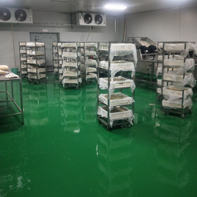 河北石家庄纯卤水大豆腐，现做现发保障新鲜