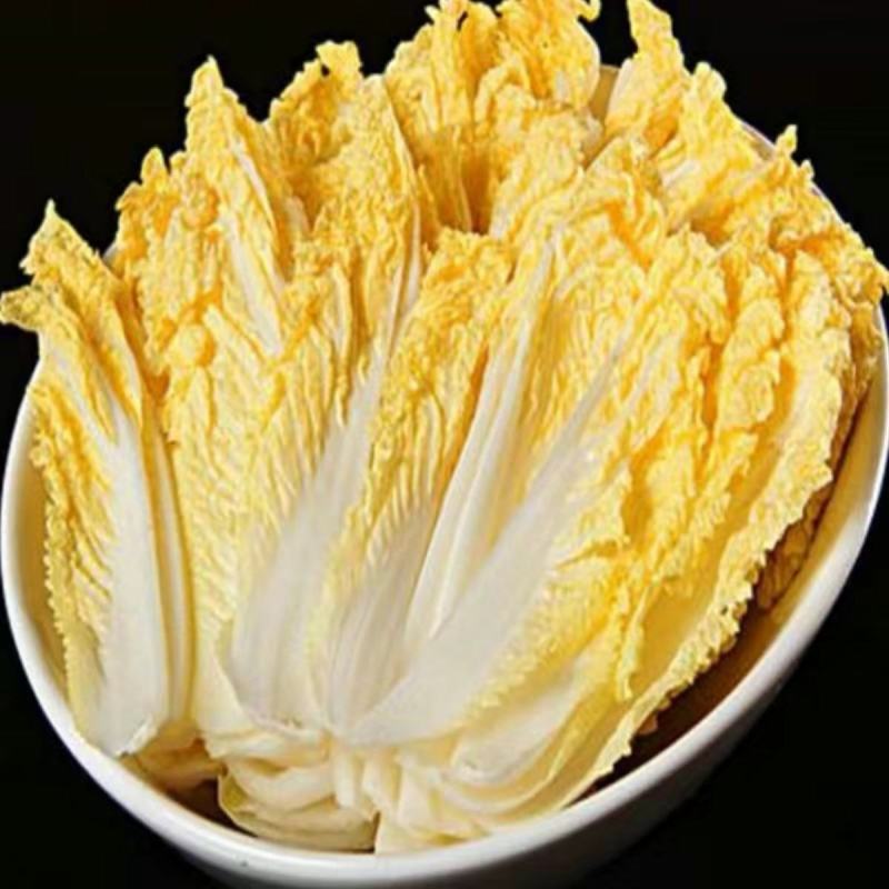 鸡蛋黄白菜种子农田菜园高产蔬菜春秋四季耐湿耐热黄心白菜种