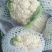 有机菜花青梗散花松花菜白花菜大量价格便宜可供商超电商平台
