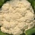 有机菜花青梗散花松花菜白花菜大量价格便宜可供商超电商平台