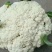 有机菜花青梗散花松花菜白花菜大量价格便宜可供商超电商平台