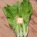 白帮小白菜种子四季播青菜种籽快菜籽农家庭院阳台盆栽蔬菜种