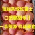 【苹果】山东红富士苹果产地一手货源全红条纹脆甜爽口