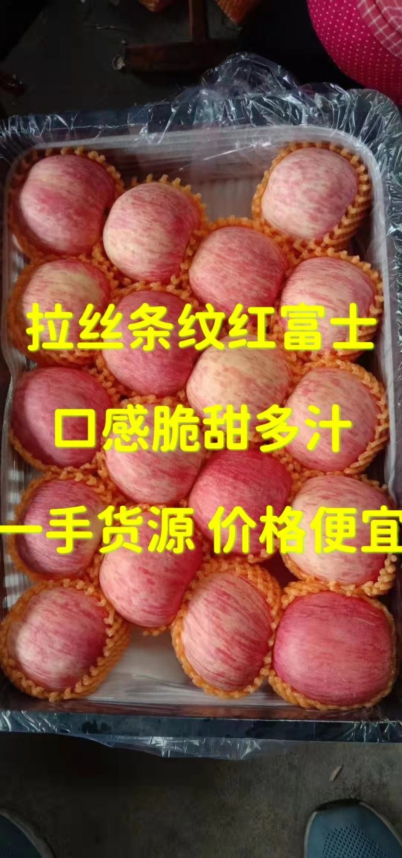 【苹果】山东红富士苹果产地一手货源全红条纹脆甜爽口