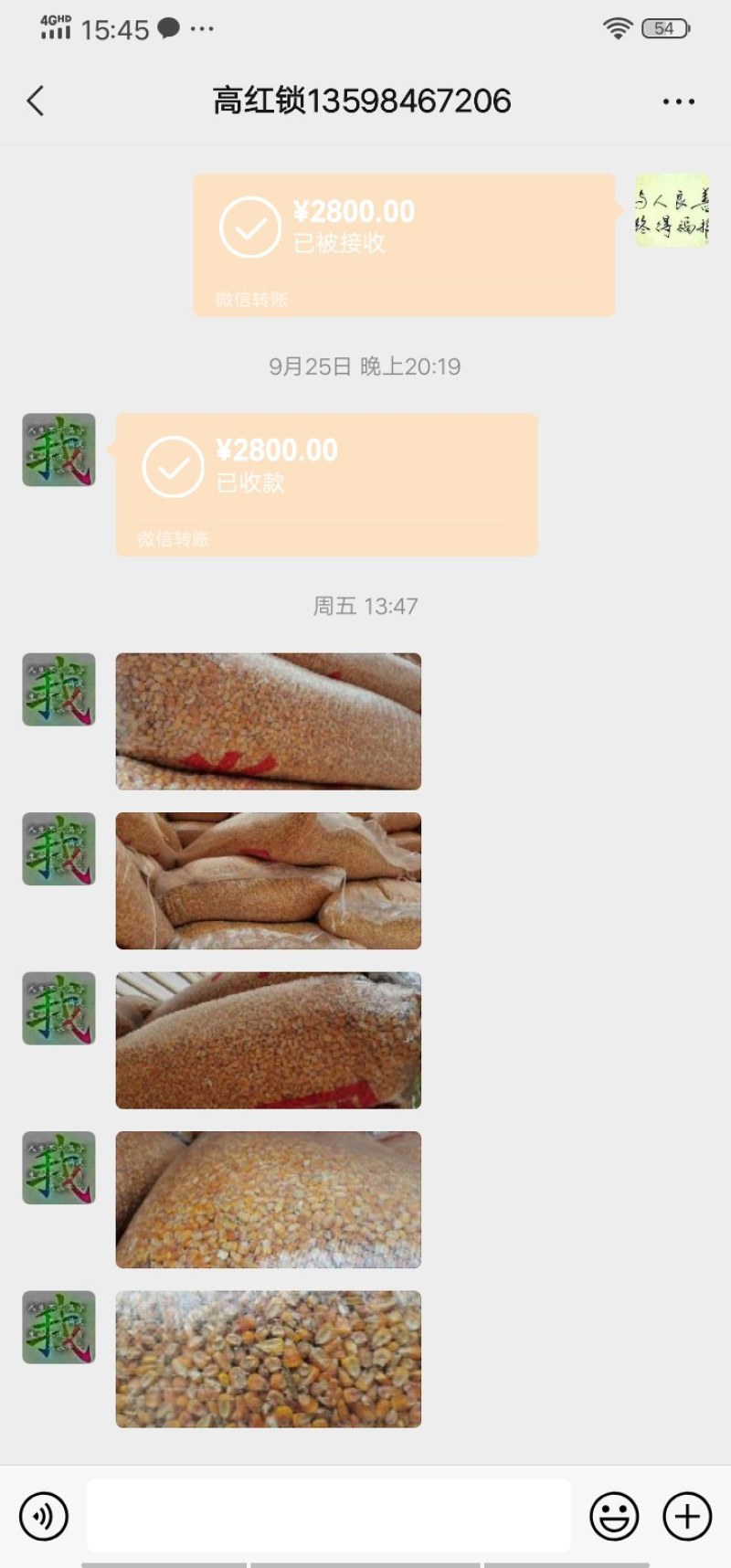 东北优质玉米调运