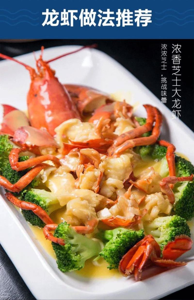 鲜活大波龙