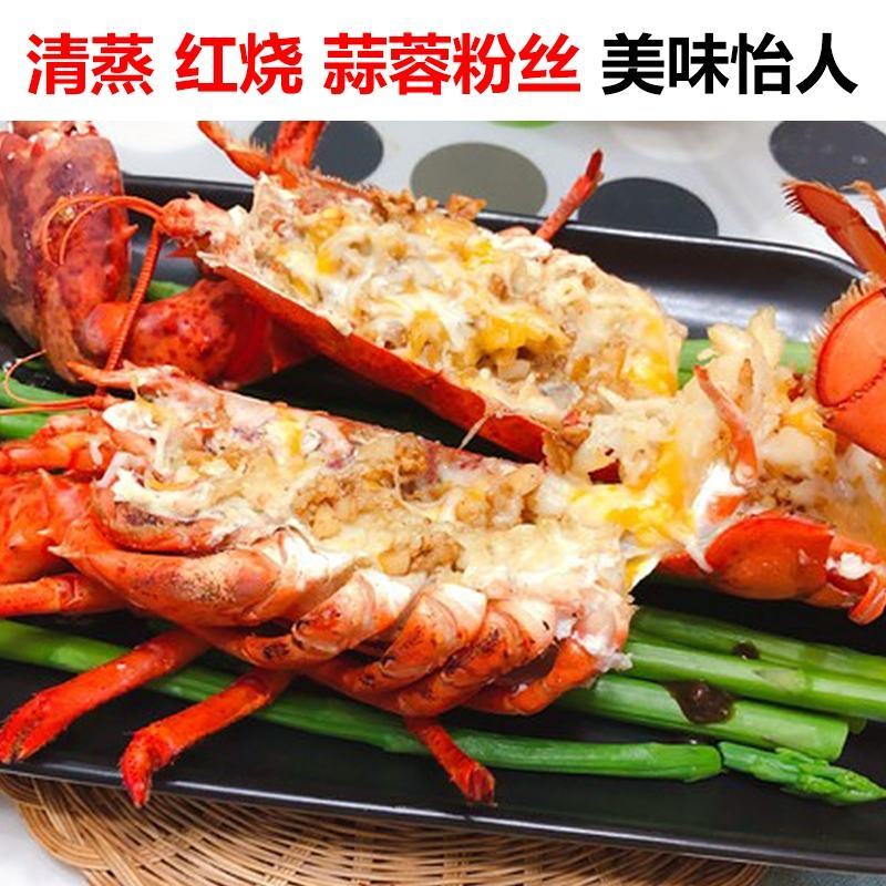 鲜活大波龙