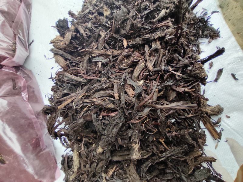 紫草，软紫草，硬紫草，新疆紫草，产地一手货源，质量保证