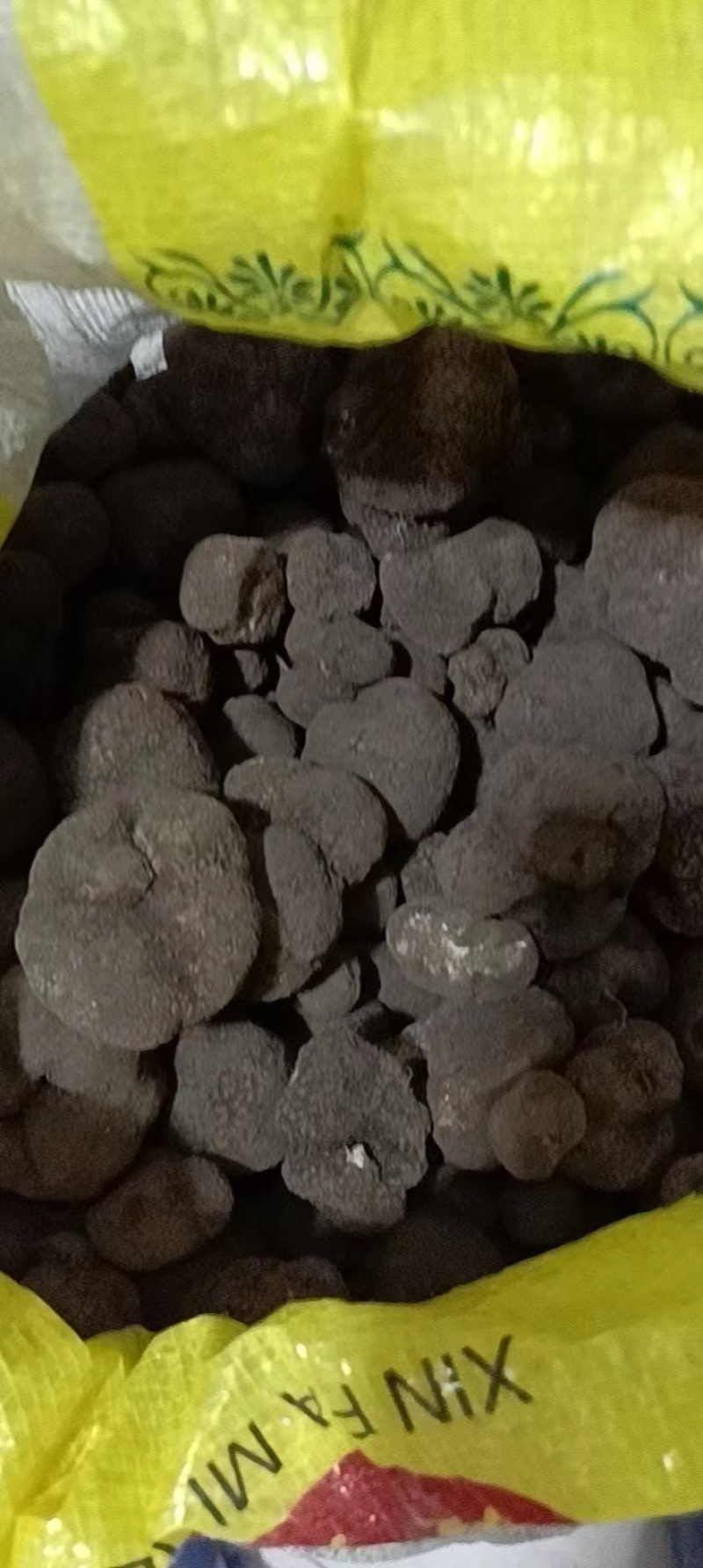 云南野生黑松露