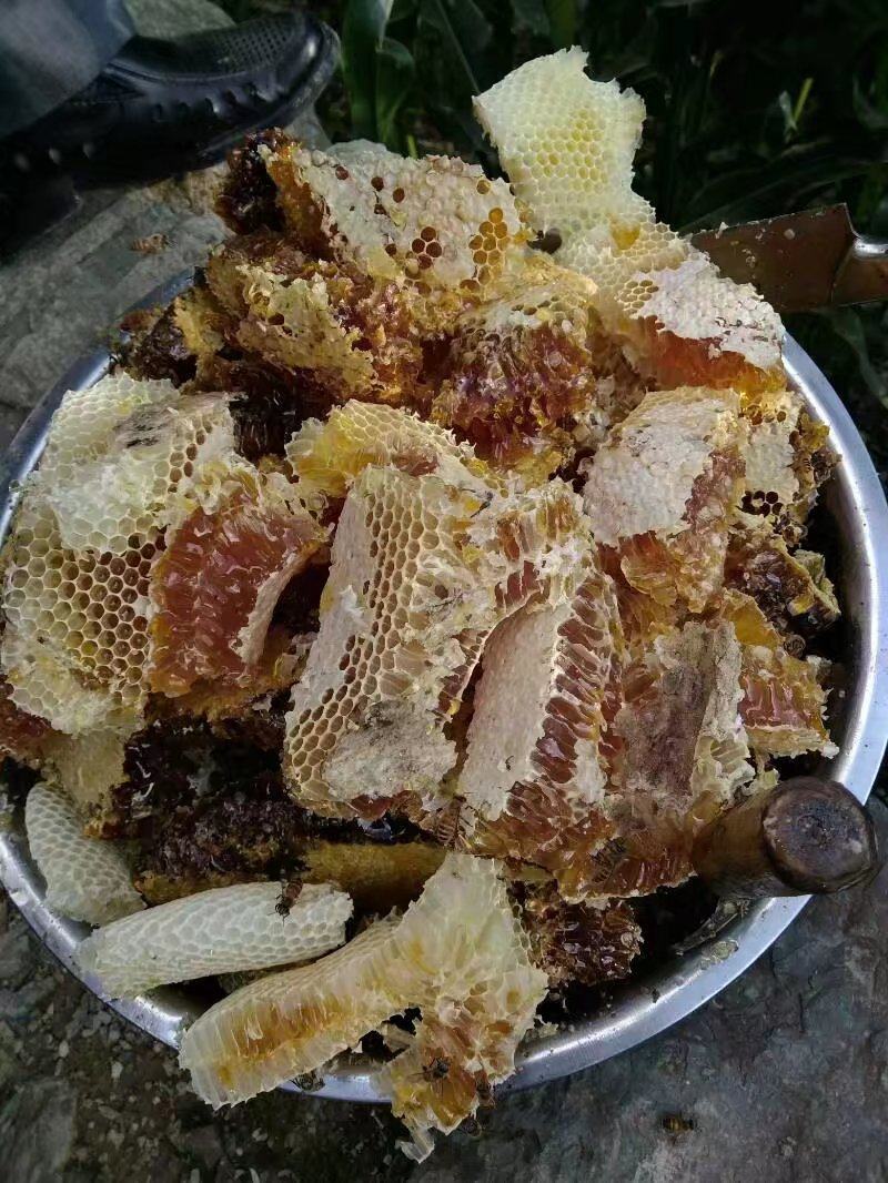土蜂蜜