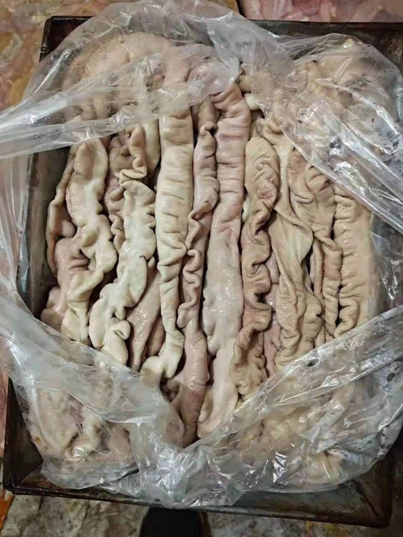 预煮精品猪大肠精修大肠头一级二级都有货