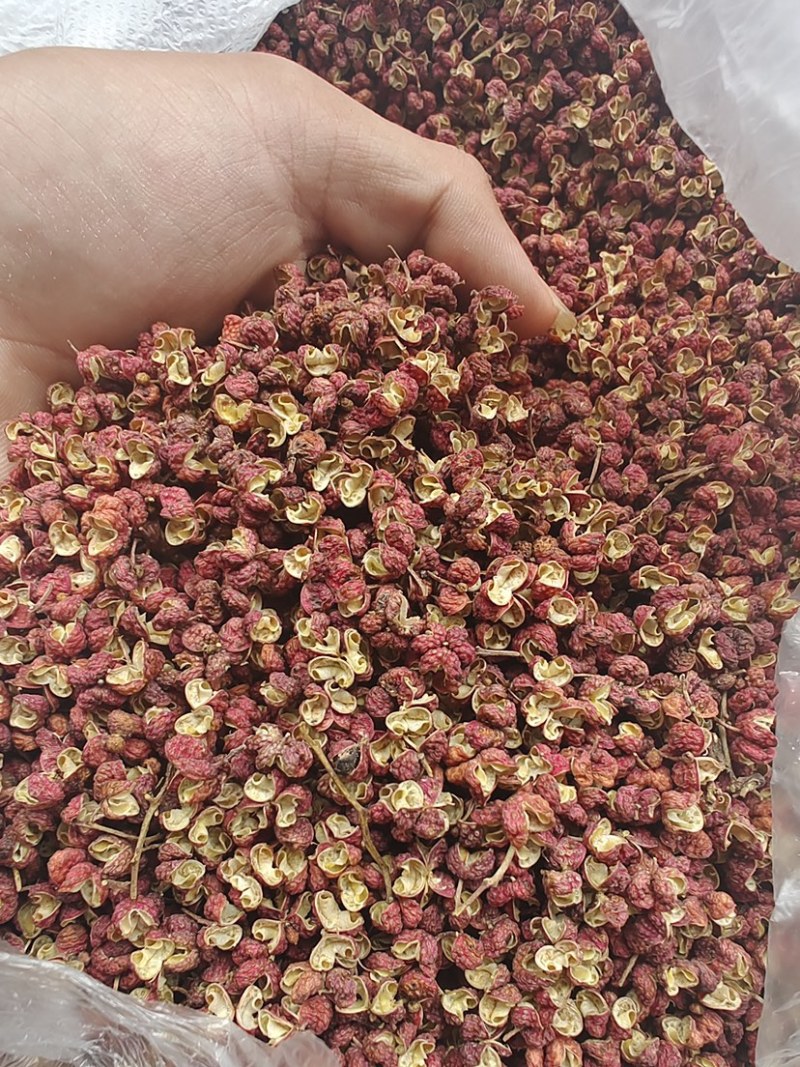 陕西韩城大红袍花椒一手货源，常年有货.欢迎合作洽谈。