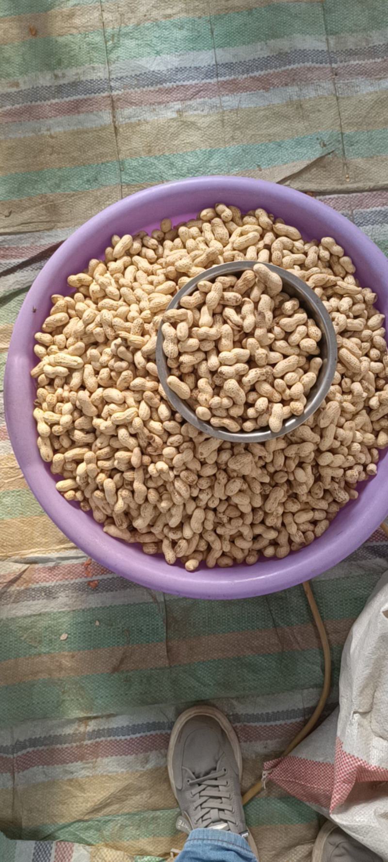 河北原味铁锅炒花生原味熟花生大量出售价格合理质量可靠