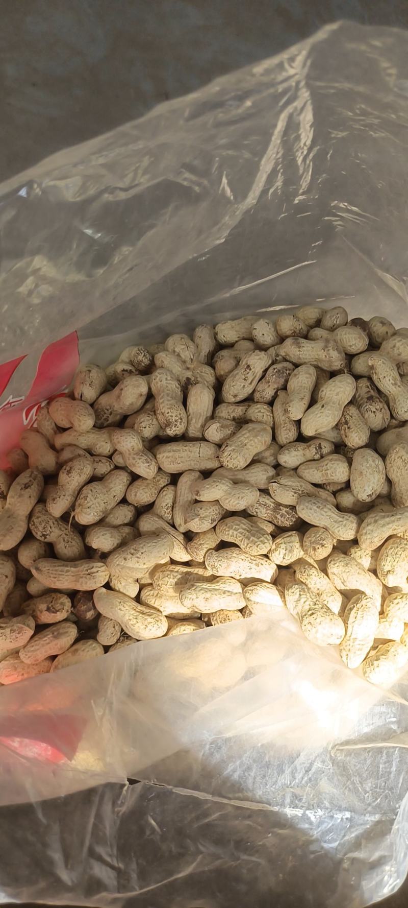 河北原味铁锅炒花生原味熟花生大量出售价格合理质量可靠