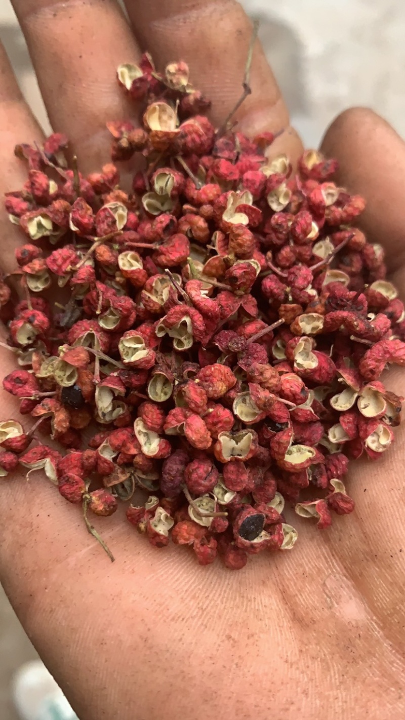 陕西韩城大红袍花椒一手货源，常年有货.欢迎合作洽谈。