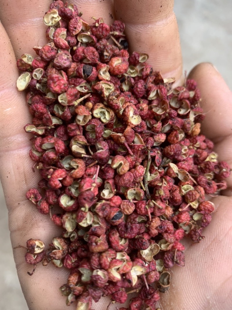 陕西韩城大红袍花椒一手货源，常年有货.欢迎合作洽谈。