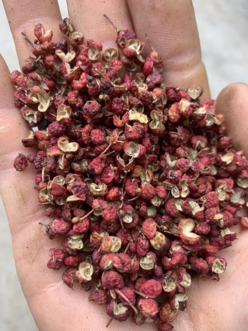 陕西韩城大红袍花椒一手货源，常年有货.欢迎合作洽谈。