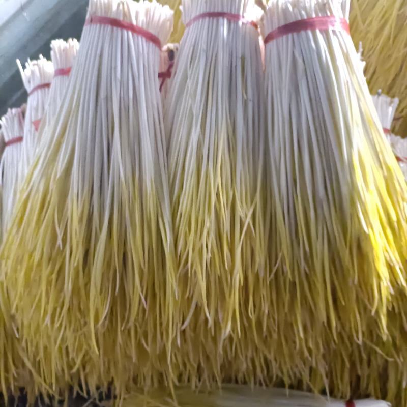 安丘精品蒜黄上市欢迎新老客户订购。