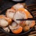 鲜冻无冰衣扇贝肉#可红烧、爆炒、汤羹、涮火锅、海鲜粥