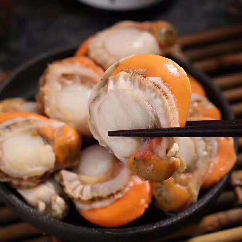 鲜冻无冰衣扇贝肉#可红烧、爆炒、汤羹、涮火锅、海鲜粥