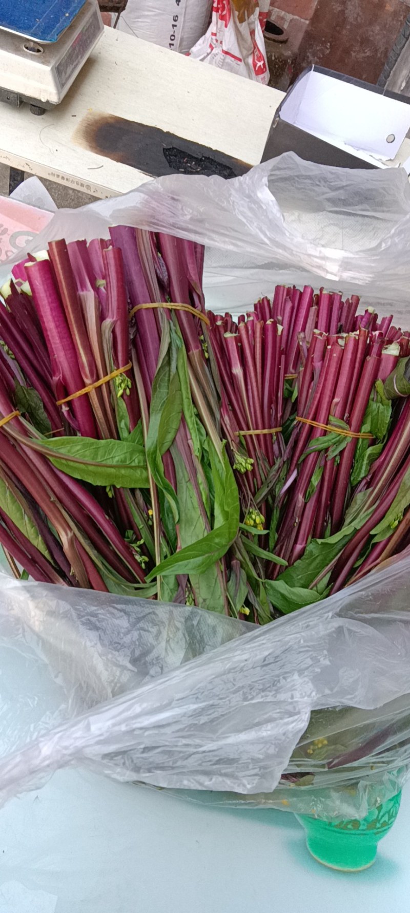 精品湖北特色红菜苔佳红菜苔自有种植基地当天现摘现发一手货