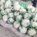 菜花松花菜白面青梗松花菜常年供应各地市场货电商货