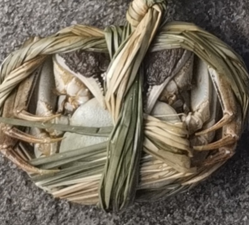 江苏固城湖大闸蟹母蟹每只带防伪码三码合一只只饱满
