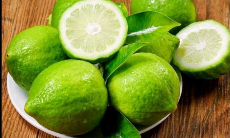 广东香水柠檬老树果薄皮无籽多汁基地现摘现发一件代发