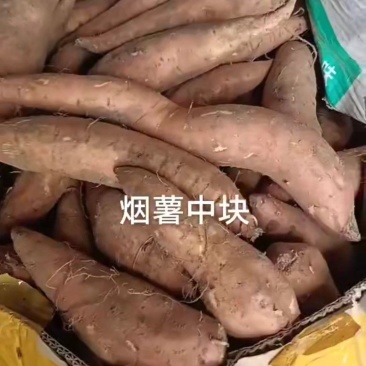 大量出售烟薯25，支持各种包装，