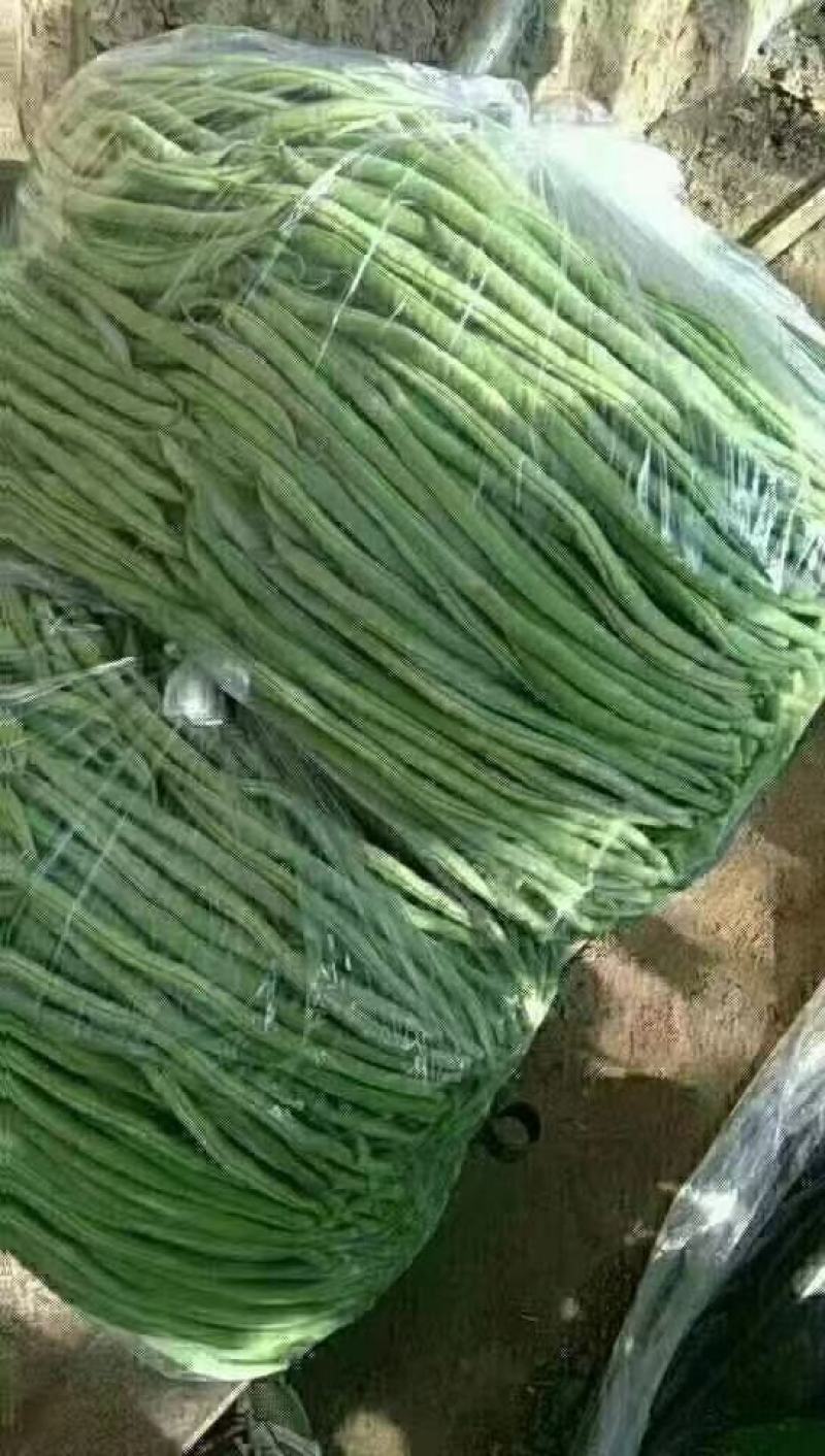 精品架豆王