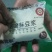 河北石家庄石磨纯卤水豆腐精美盒装，现做现发