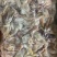 [热卖]精品熟羊杂，无肝肺，大量现货价格美丽，全是精品