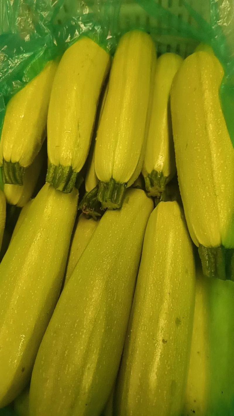 绿皮西葫芦精品对接批发市场稳定供应量大从优欢迎实地考察