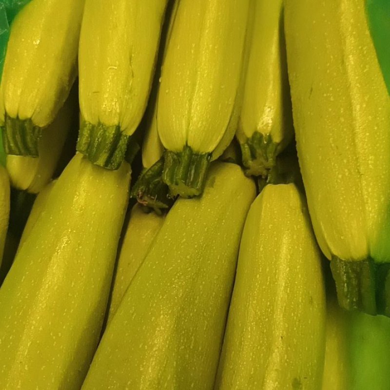 绿皮西葫芦精品对接批发市场稳定供应量大从优欢迎实地考察