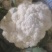 精品菜花开始大量上市