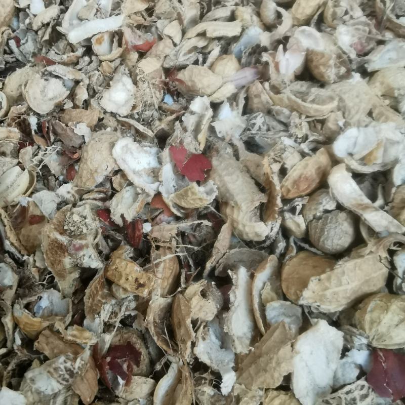 批花生壳新鲜未发酵粗细粉面燃料饲料养兰培养土有机农家肥腐