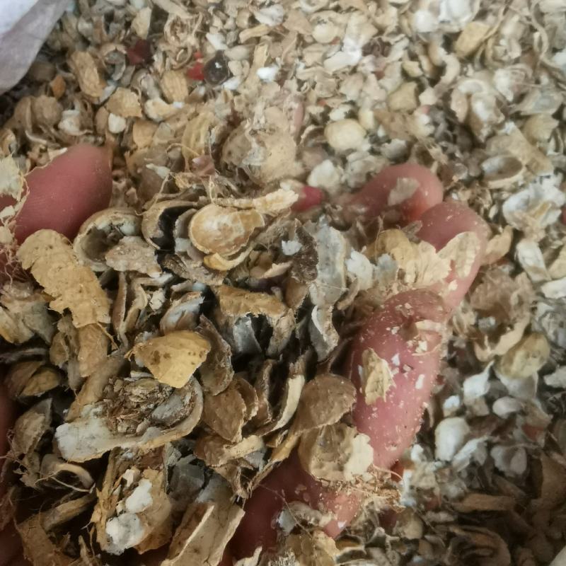 批花生壳新鲜未发酵粗细粉面燃料饲料养兰培养土有机农家肥腐