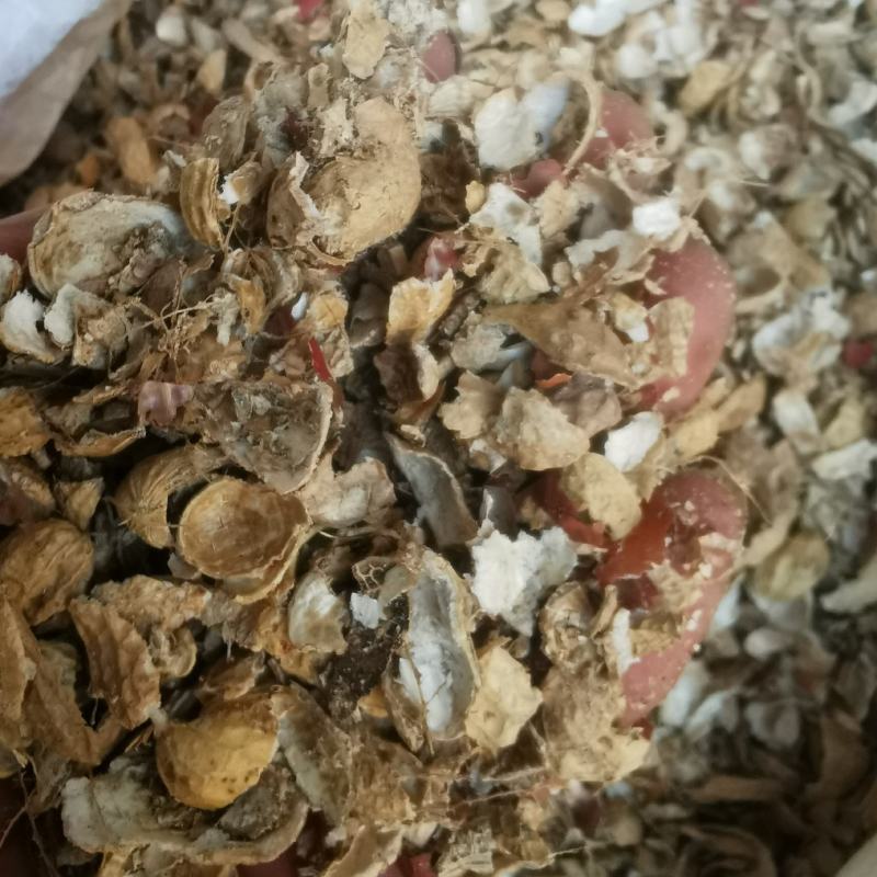 批花生壳新鲜未发酵粗细粉面燃料饲料养兰培养土有机农家肥腐