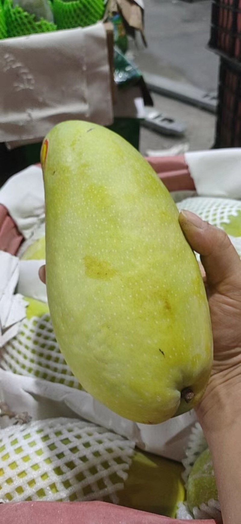 金煌芒果一级400克以上车价按要求包装