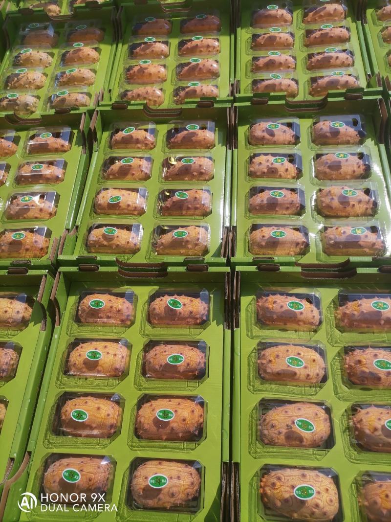 火参果礼盒装8个装精品黄果礼盒中秋送礼礼盒刺角瓜