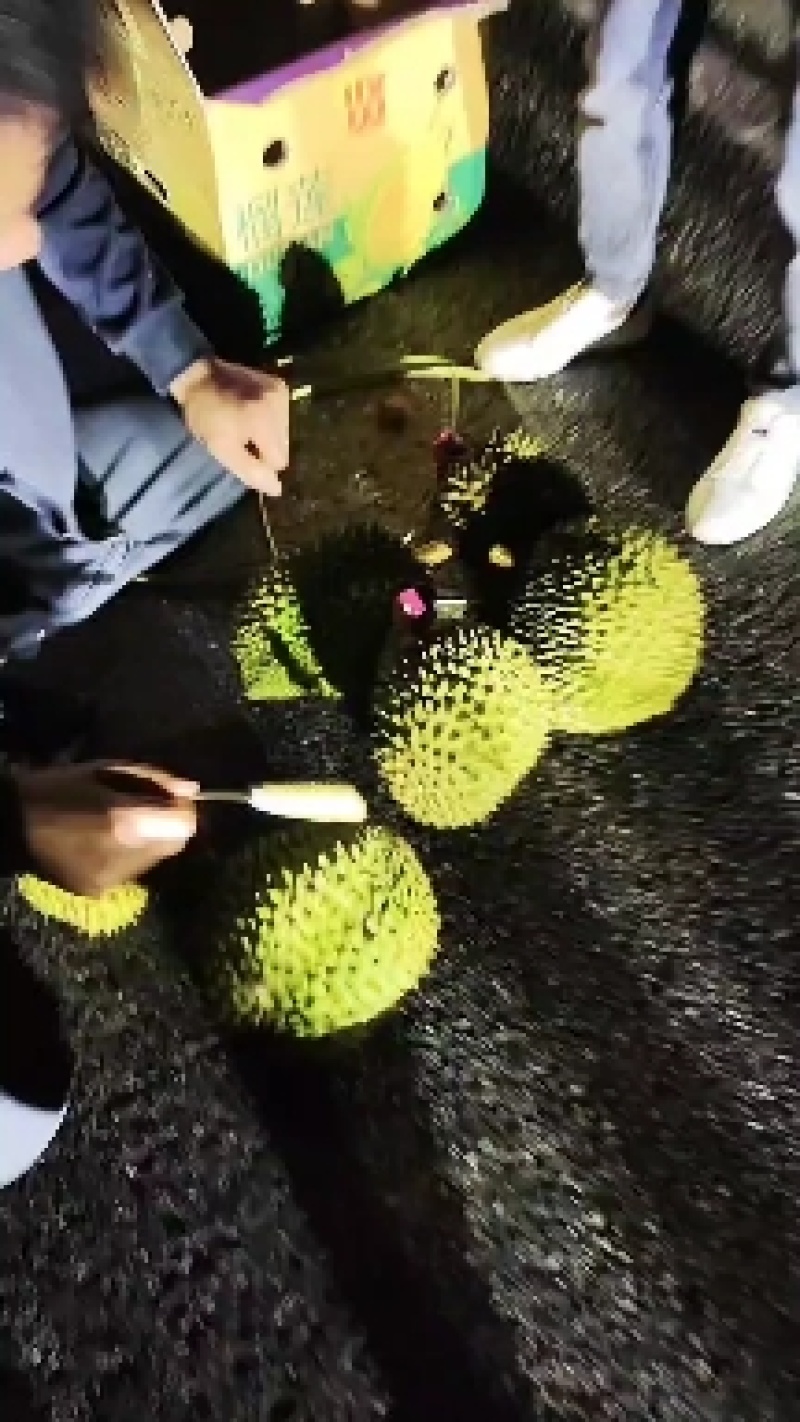 泰国越南金枕榴莲华南地区一手货源，希望和各位老板长期合作