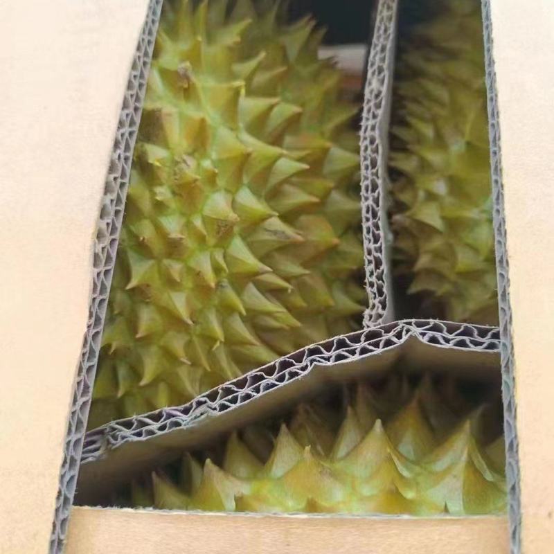 泰国越南金枕榴莲华南地区一手货源，希望和各位老板长期合作