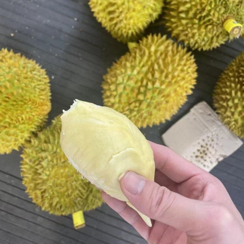 泰国越南金枕榴莲华南地区一手货源，希望和各位老板长期合作