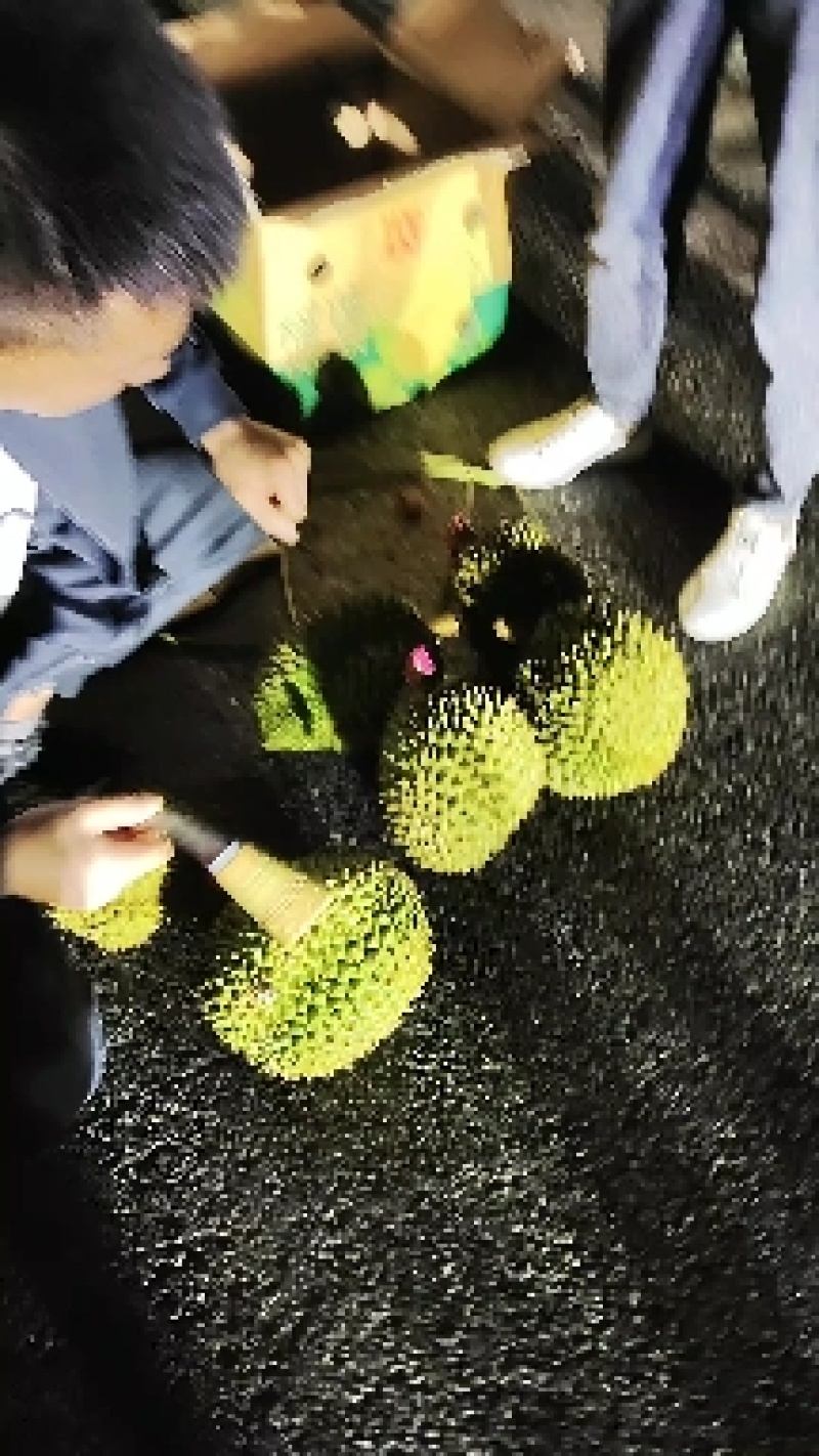 泰国越南金枕榴莲华南地区一手货源，希望和各位老板长期合作
