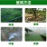 枯草芽孢杆菌2斤生根壮苗抗重茬防病害微生物菌剂肥料