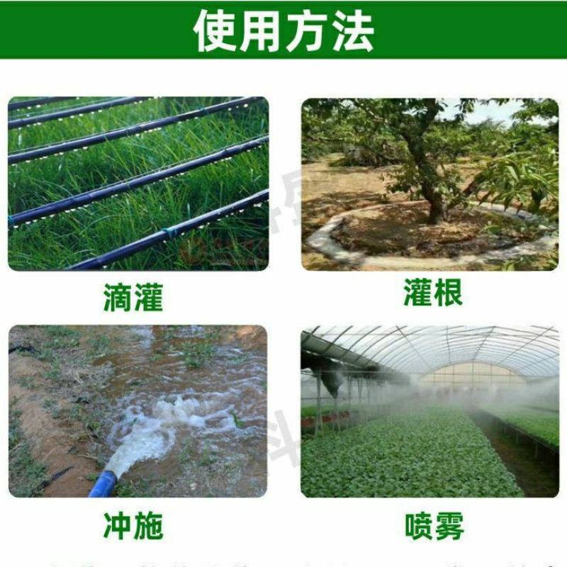 枯草芽孢杆菌2斤生根壮苗抗重茬防病害微生物菌剂肥料