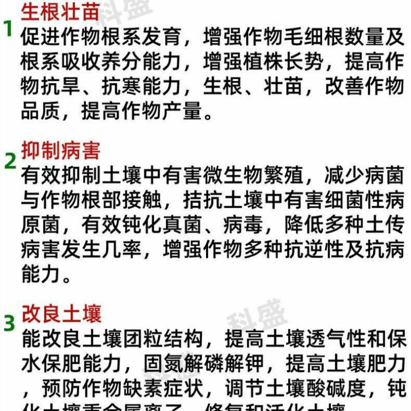 枯草芽孢杆菌2斤生根壮苗抗重茬防病害微生物菌剂肥料